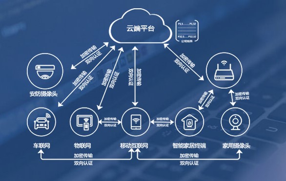 IoT時(shí)代構(gòu)建輕量化可信安全體系 從數(shù)據(jù)和身份認(rèn)證本質(zhì)出發(fā)的信息系統(tǒng)集成服務(wù)新范式